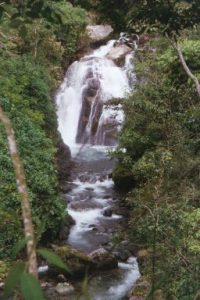 The Cloudbridge Falls and the Chirripo River