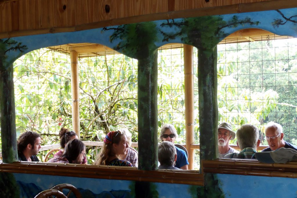 Sunday brunch with a rainforest view and bird watching at Robino’s café in San Gerardo.
