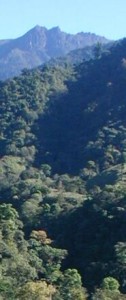A View of Mt. Uran from Cloudbridge Nature Reserve Showing Volcanic Geology
