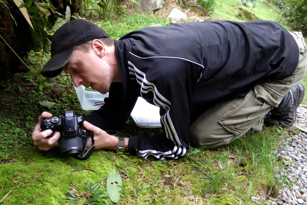 One of our former resident biologists documenting amphibian species to update the Cloudbridge species lists.