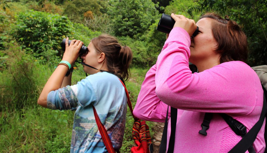 Bird watching tours are just one of the specialty tours offered at Cloudbridge.